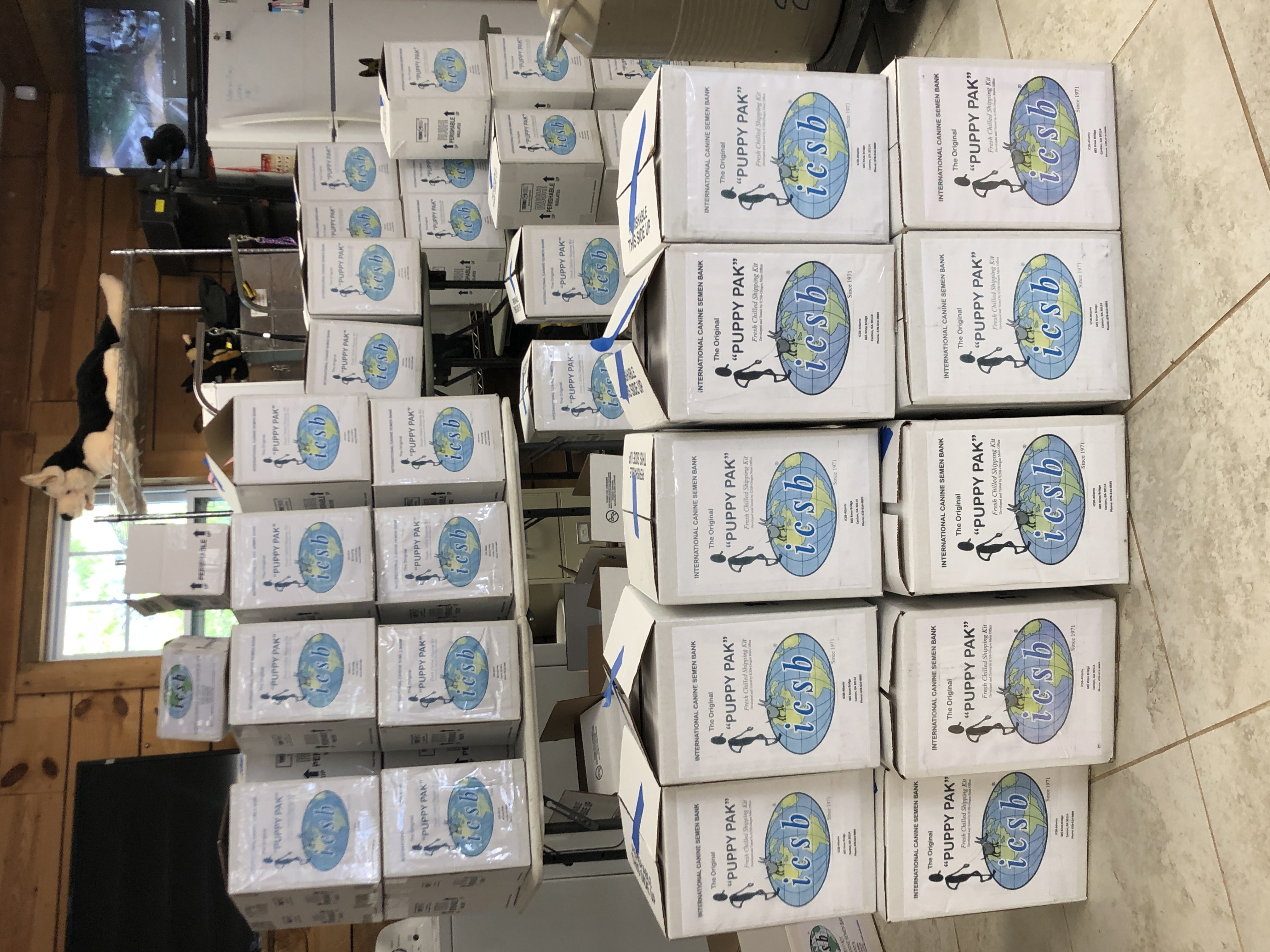 ICSB Atlanta Puppy Packs
