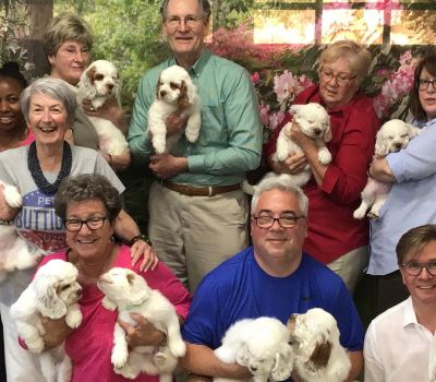 Successful Frozen Litters